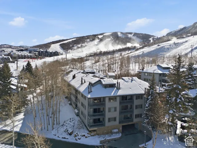 Multi-story residential structure with a snow-covered roof, surrounded by mature evergreen trees and deciduous trees