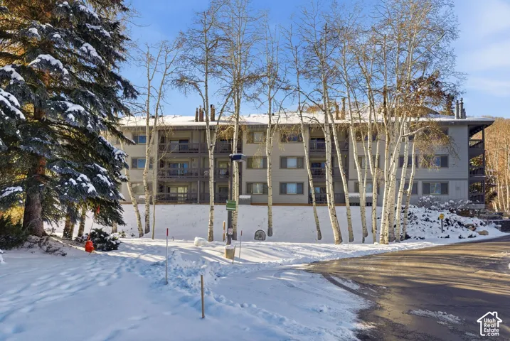 Multi-story building with multiple balconies, surrounded by mature evergreen trees and slender deciduous trees