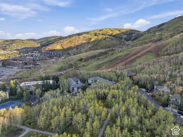 Aerial perspective featuring mature aspen groves, paved pathways, and mountain topography