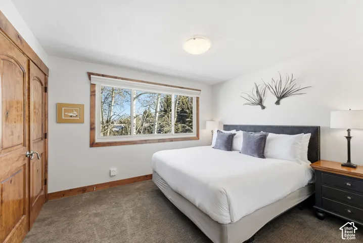 Wood-paneled door, large window with wood trim, wall-to-wall carpeting, and flush mount ceiling light