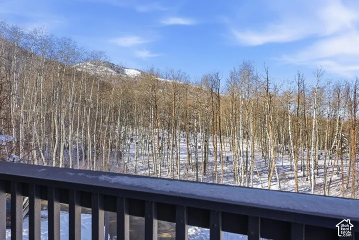Snow-covered hillside with deciduous trees and a clear blue sky
