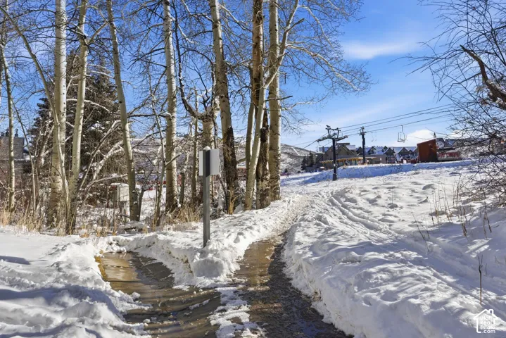 Snow-covered landscape with a cleared pathway, mature trees, and distant structures under a clear sky