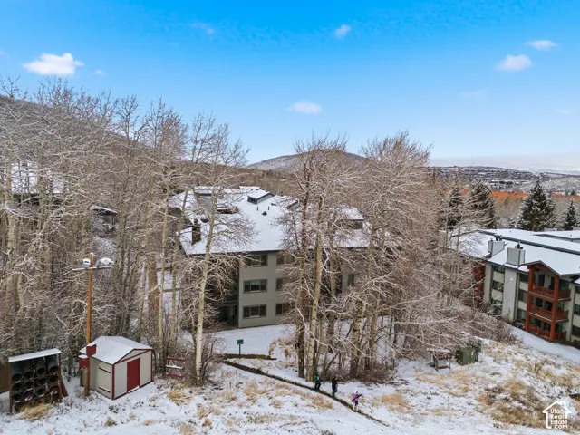 Multi-story building with a dark-pitched roof situated among snow-dusted trees