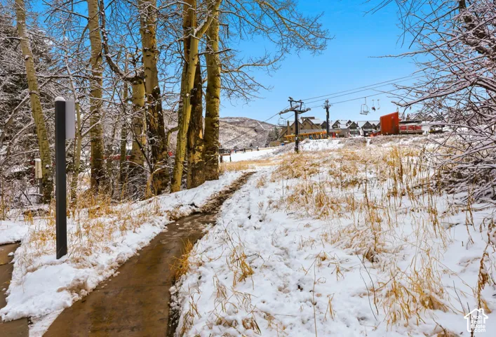 Pastoral acreage featuring mature trees lining the property, a natural creek running through the grounds, and expansive open fields with seasonal snow cover