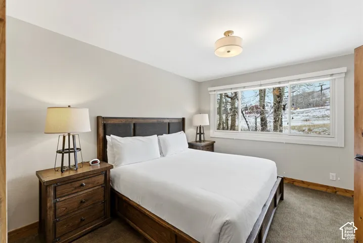 Wall-to-wall carpeting and a multi-pane window with white trim