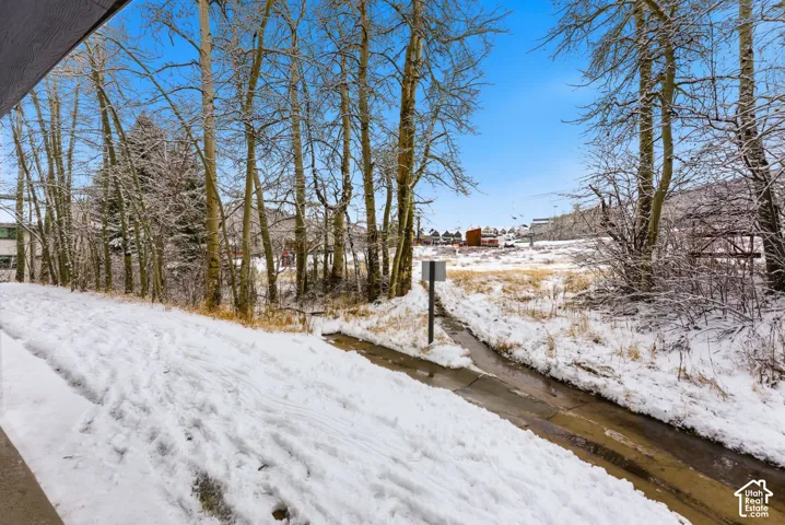 Outdoor area featuring a snow-covered ground, mature deciduous trees, and a paved path