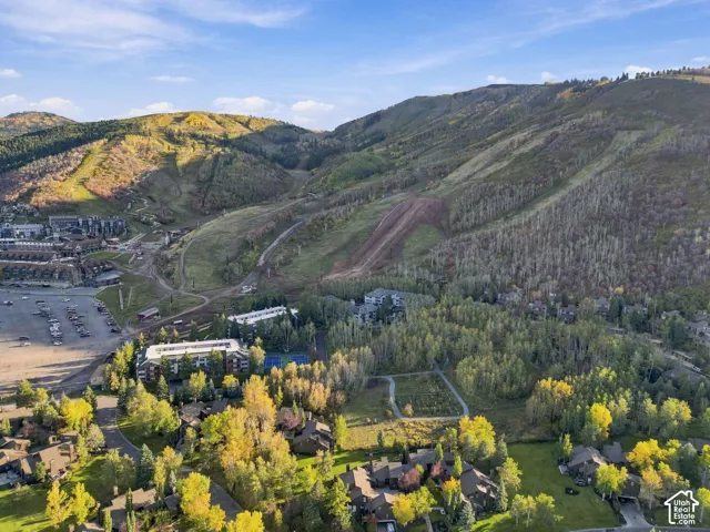 Expansive mountain landscape with extensive tree coverage and visible ski runs