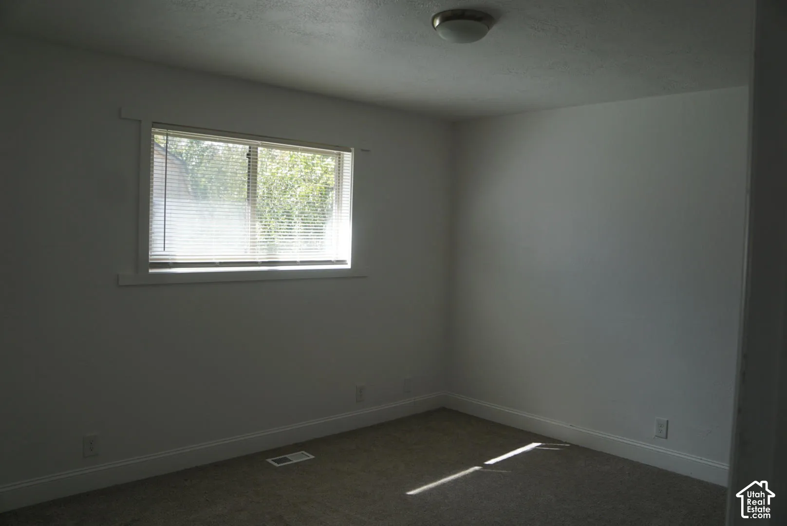 Neutral-toned interior space featuring wall-to-wall carpeting, a large sliding window with thick millwork trim, and a flush-mount ceiling light fixture
