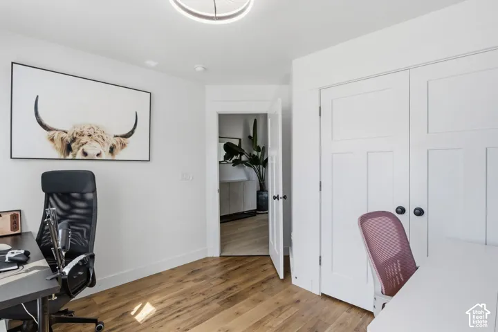 2nd Bedroom or office space -Interior room featuring wood-finish flooring, a double-door closet with shaker-style panels and matte black hardware, and a modern circular flush-mount ceiling fixture