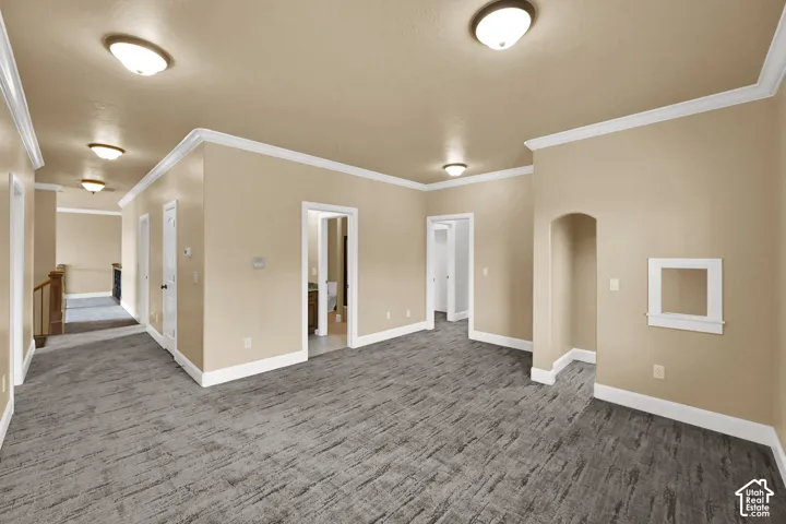 Spacious interior featuring neutral wall tones, textured carpet flooring, decorative crown molding, multiple flush-mount ceiling lights, and a recessed wall niche