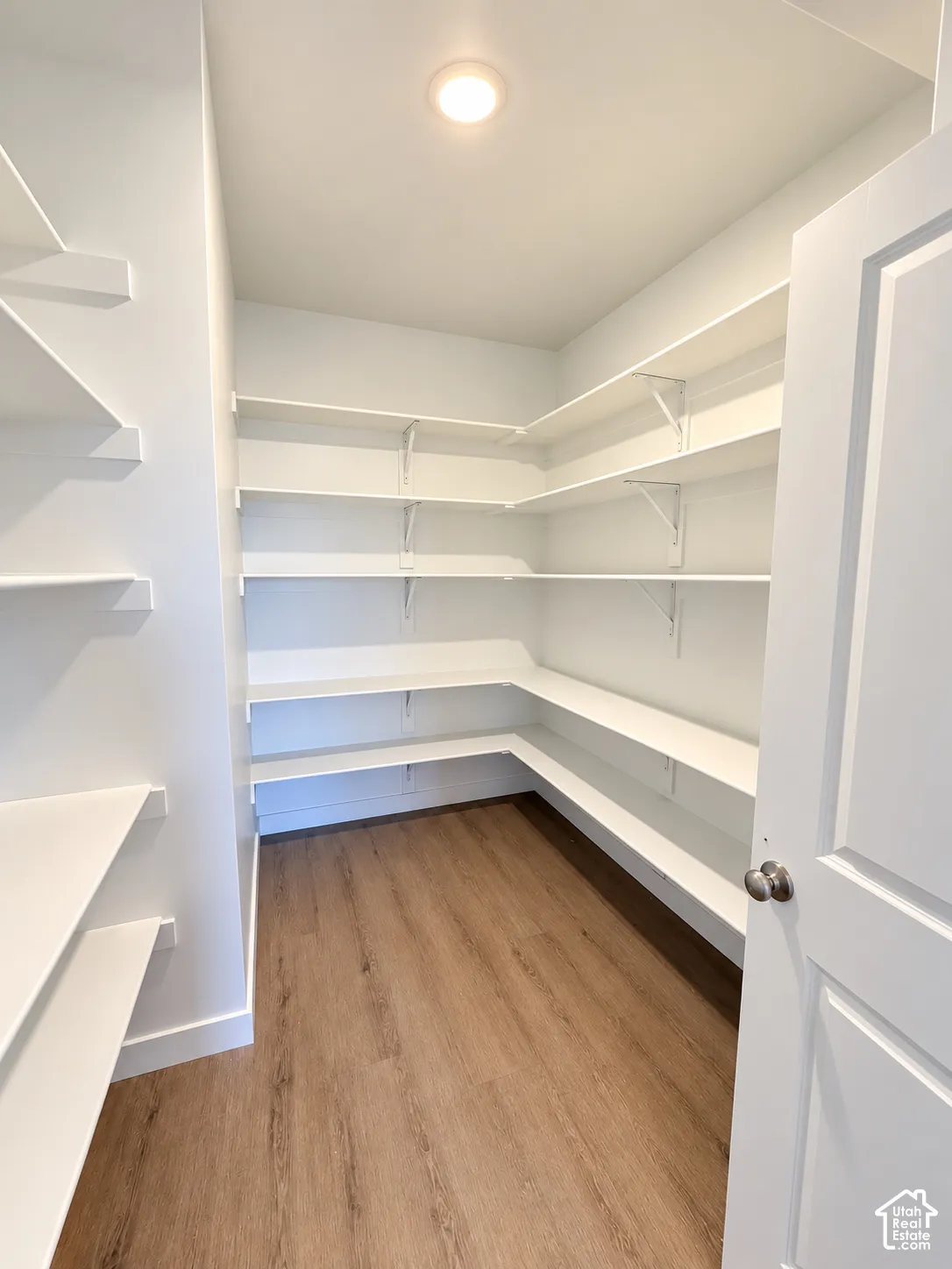 Walk-in storage space featuring wood-finish flooring, multi-tier wrap-around shelving, and a flush-mount ceiling light
