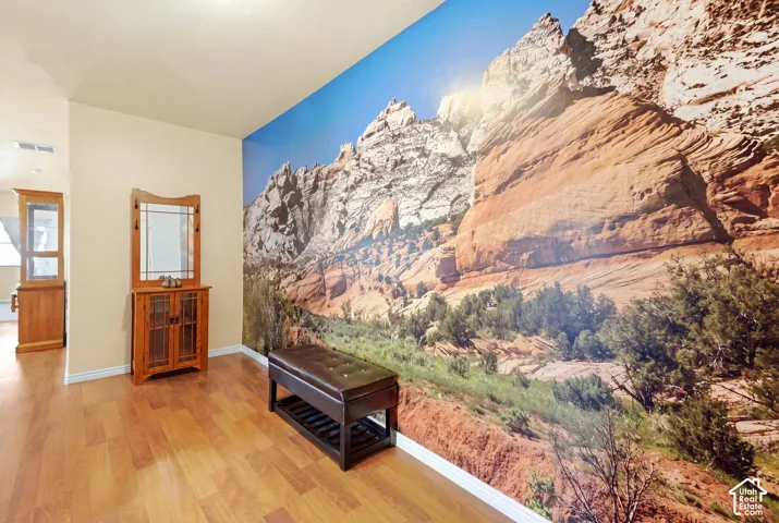 Unique Split Mountain Wall Mural upon entering