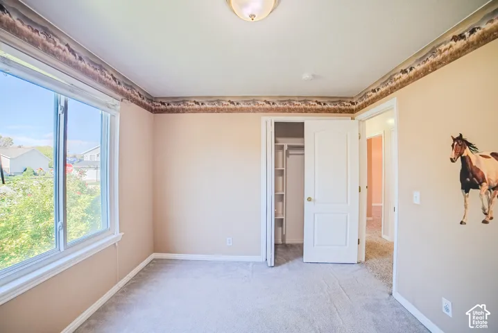 Room featuring wall-to-wall carpeting, a large sliding window, a closet with built-in shelving, and a ceiling-mounted light fixture