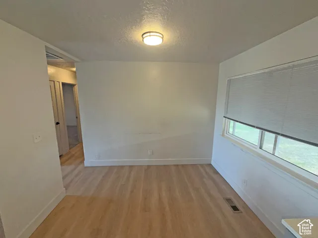 Wood-finish flooring with a flush-mounted ceiling light fixture
