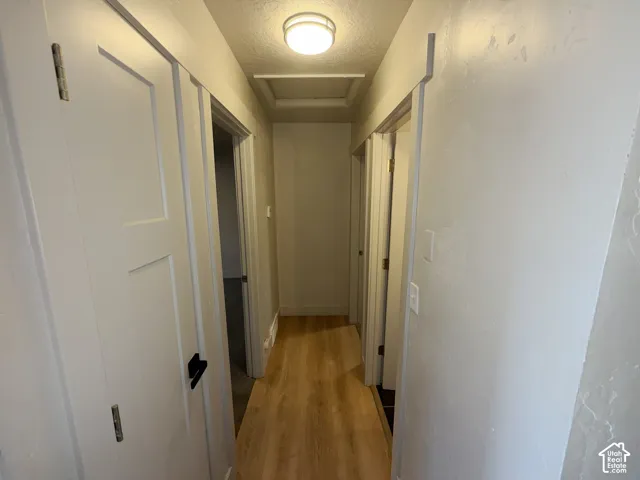 Hardwood-style flooring throughout a well-lit hallway with white paneled doors and ceiling-mounted lighting