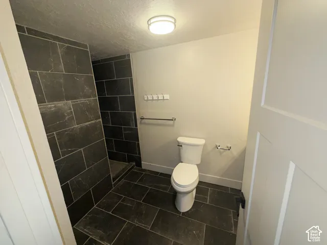 Walk-in shower with dark large-format tile, matching floor tile, recessed lighting, and a white toilet