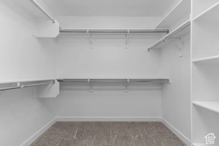 Storage area featuring double-tiered wall-mounted shelving, integrated metal garment rods, and carpeted flooring