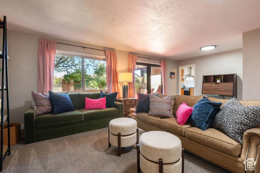 Living area with plush carpeting and natural light