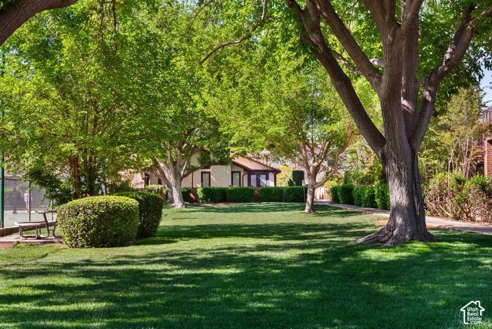 Expansive green lawn with mature trees and manicured shrubbery