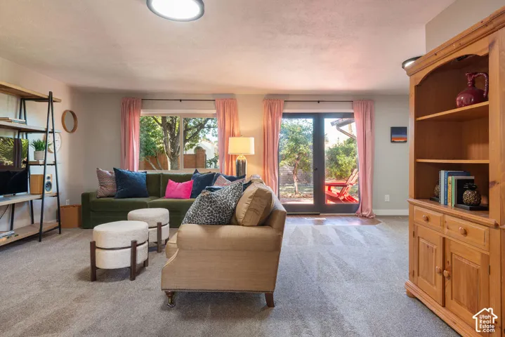 Plush carpeting throughout, a wood-finish built-in shelving unit, and a glass-paneled exterior door