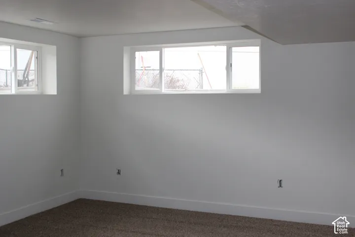 Neutral-toned interior space featuring white-painted walls, carpeted flooring, and white-framed sliding windows