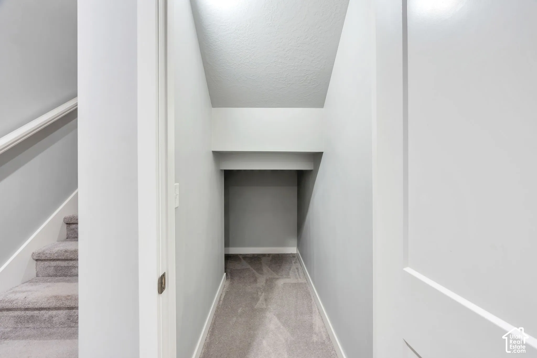 Built-in under-stair storage area featuring neutral-toned carpeting, crisp light gray walls, and white shaker-style door frames