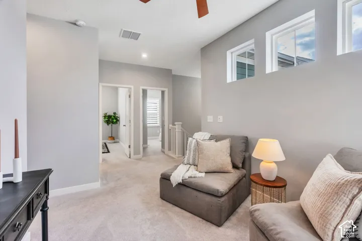 Neutral wall tones, carpeted flooring, multiple rectangular transom windows, and a ceiling-mounted light fixture