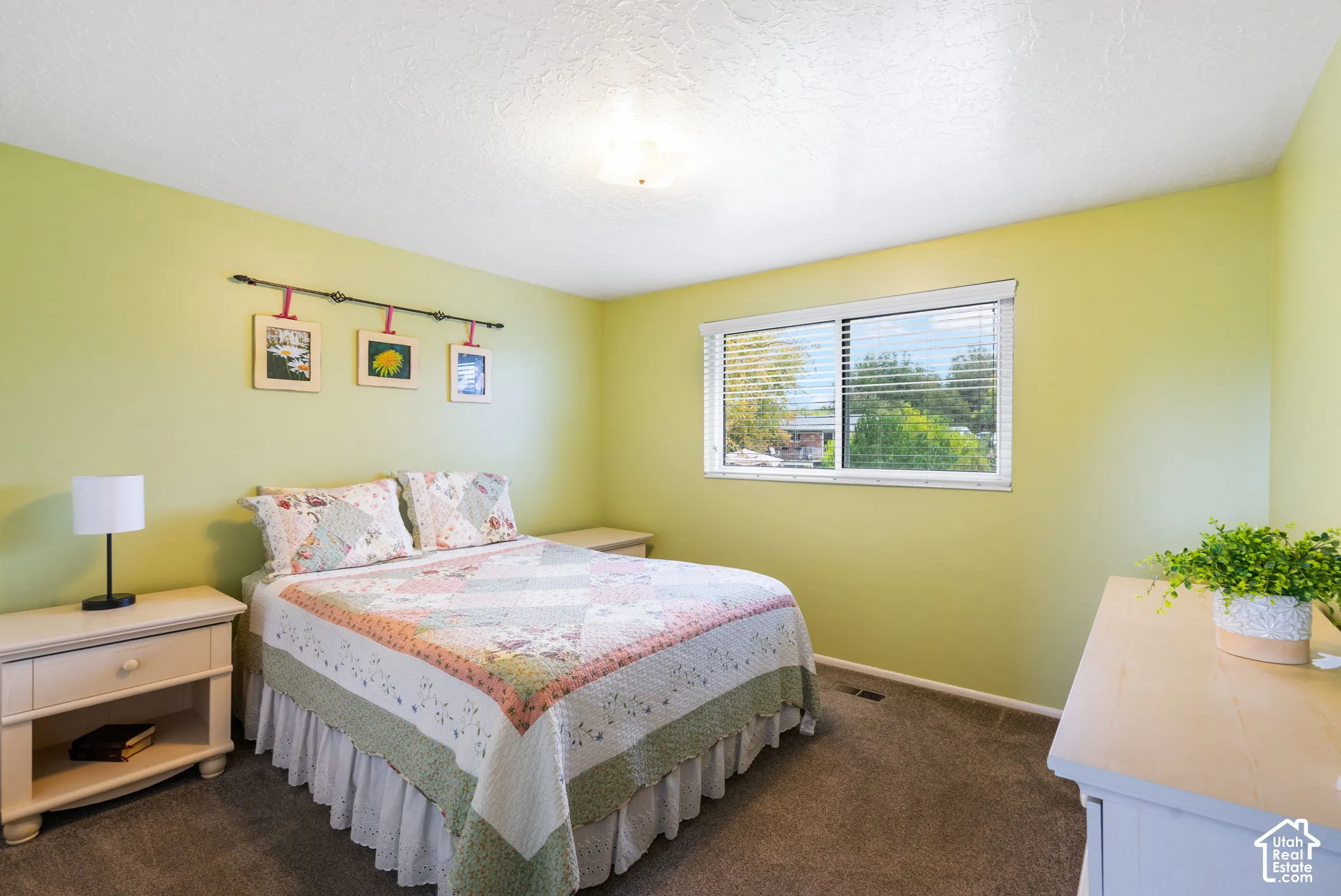 Room featuring neutral carpeting, a large sliding window with white blinds, and a central ceiling-mounted light fixture