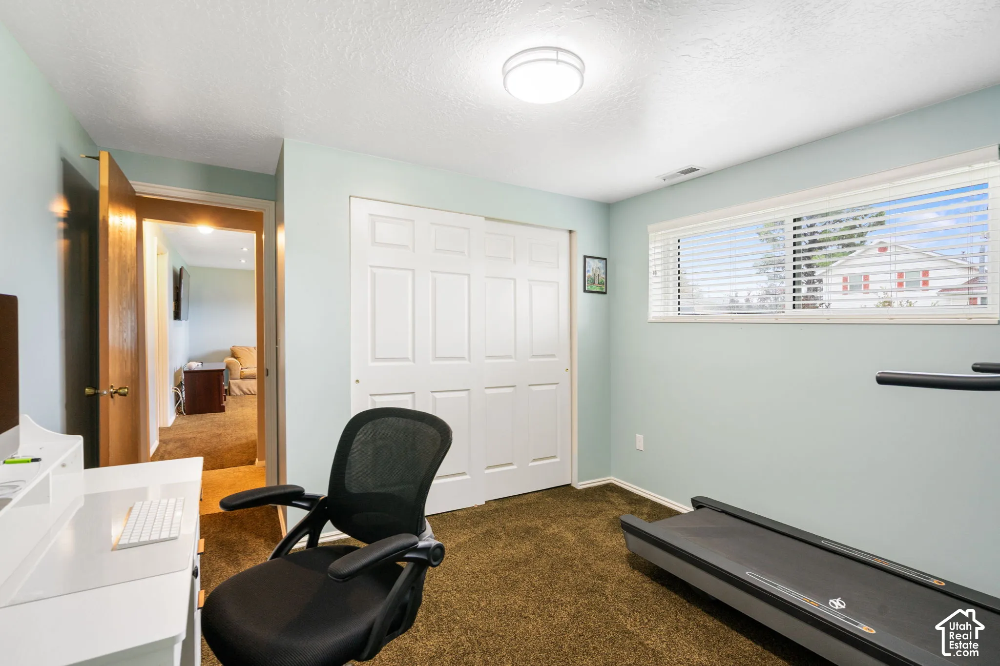 Room featuring a horizontal sliding window with blinds, dual-panel closet doors, wall-to-wall carpeting, and a flush-mount ceiling light