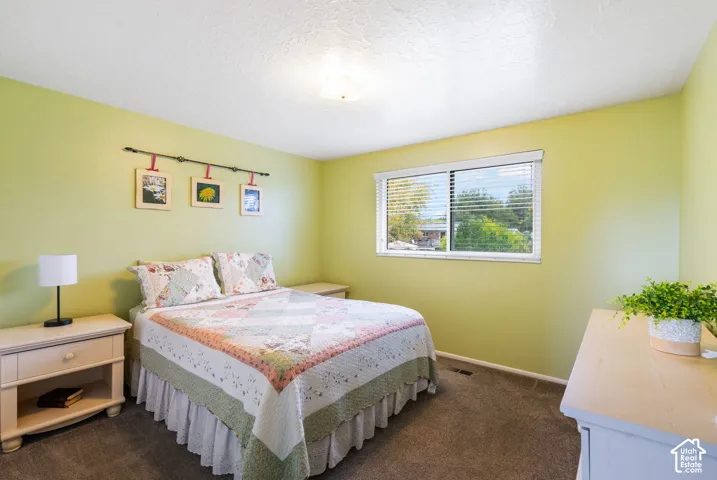 Room featuring neutral carpeting, a large sliding window with white blinds, and a central ceiling-mounted light fixture