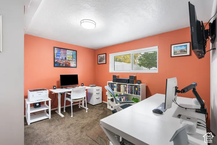 Neutral-toned carpeting, flush-mount ceiling lighting, and a horizontal sliding window