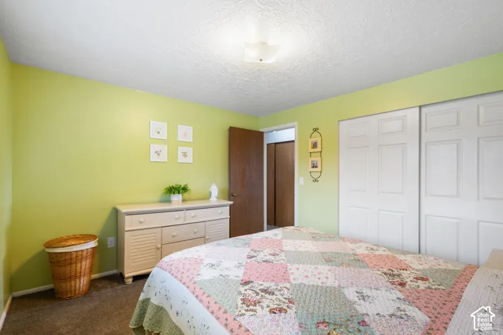 Room featuring wall-to-wall carpeting, dual-panel sliding closet doors, a single-panel interior door, and a flush-mount ceiling light fixture