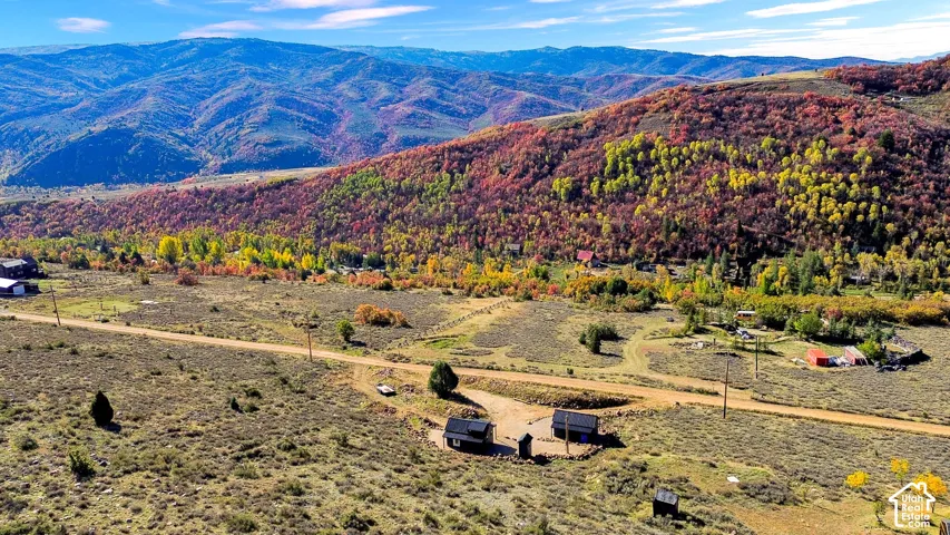 Expansive mountain landscape with diverse autumn foliage