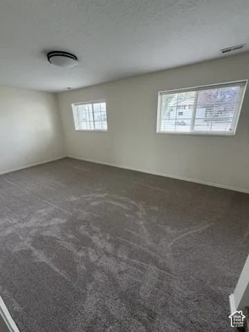 Neutral-toned carpet flooring, two double-pane windows, and a flush-mount circular lighting fixture