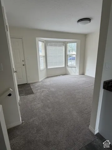 Room featuring neutral wall-to-wall carpeting, bay windows with horizontal blinds, and a flush-mount ceiling light fixture