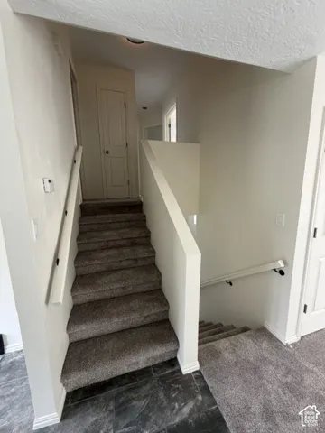 Carpeted staircase featuring painted wood handrails and solid-core interior doors
