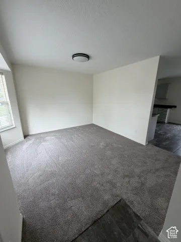 Neutral-toned wall-to-wall carpeting, flush-mount ceiling lighting, and a multi-pane window with white blinds