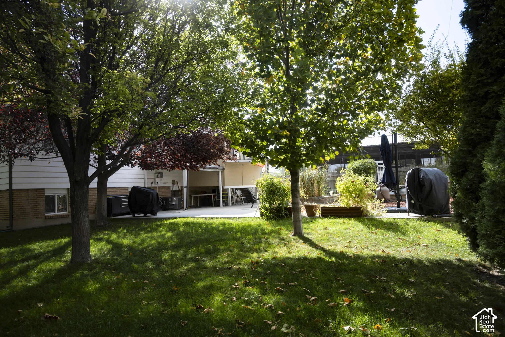 Rear yard featuring a manicured lawn, mature trees, a concrete patio, and brick exterior siding
