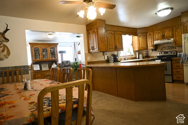 Kitchen featuring wood cabinetry, a peninsula with counter seating, and a dual-basin sink