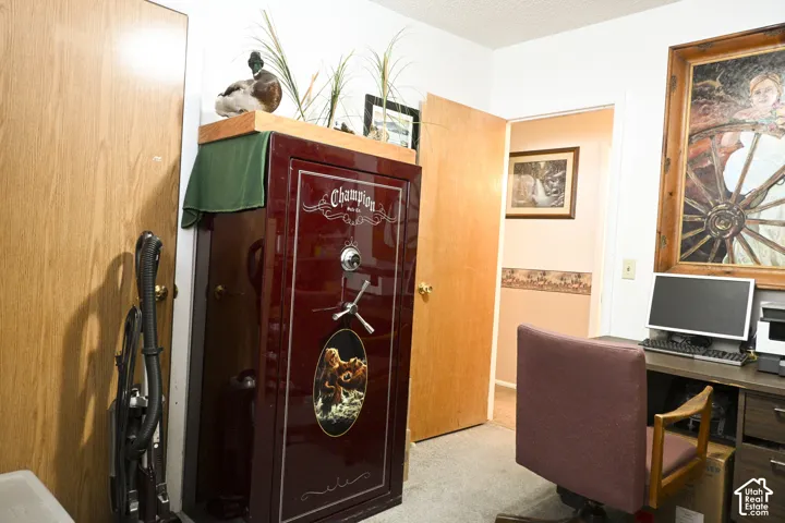 Interior space featuring wood-finish doors and neutral carpeting