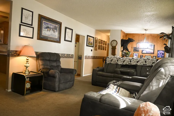 Living area featuring wood-paneled accent walls, neutral wall tones, and overhead lighting fixtures