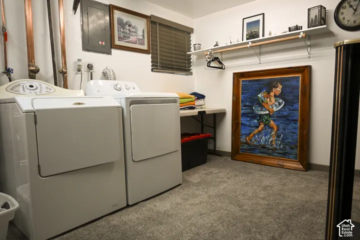 Laundry space featuring neutral carpeting, a wall-mounted floating shelf with integrated garment rod, and horizontal slat window blinds