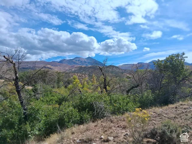 Expansive mountain backdrop featuring native brush, mature trees, and natural high-desert topography