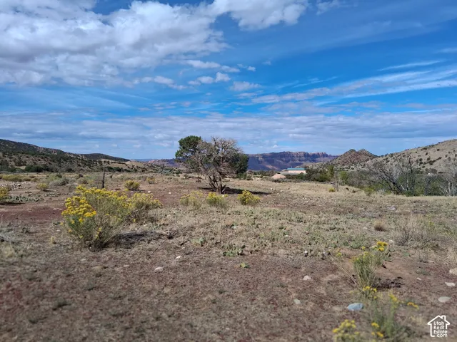 Expansive desert terrain featuring native flora, rugged rock formations, and mountain topography