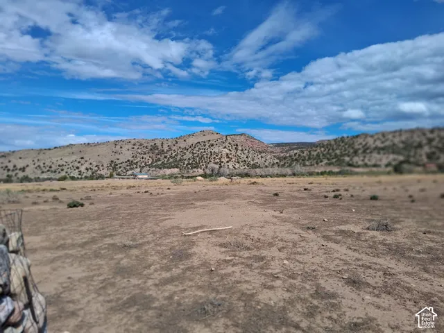 Expansive acreage featuring natural desert vegetation and prominent mountain scenery