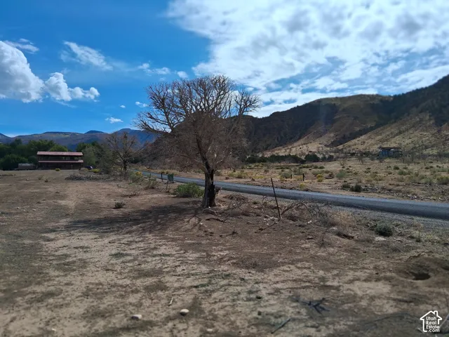 Expansive acreage featuring mature trees, a paved roadway, and mountainous terrain