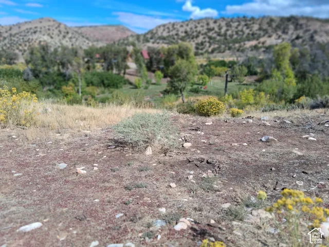 Expansive land featuring native vegetation, rocky terrain, and a mountainous backdrop