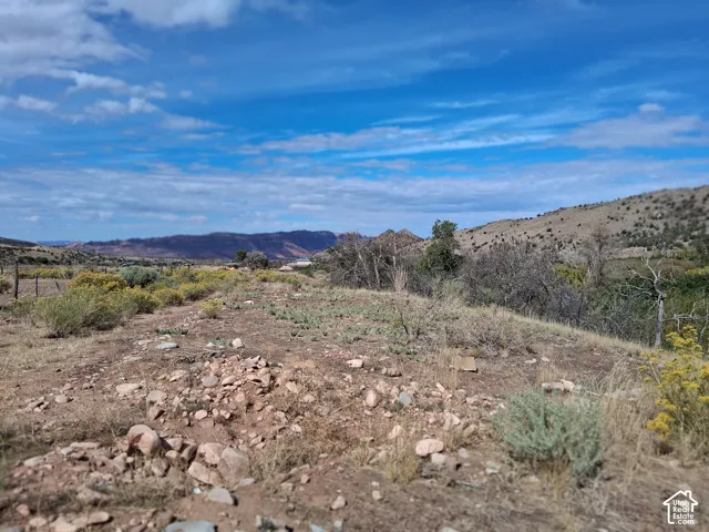Expansive acreage featuring native desert vegetation, rock formations, and mountain scenery