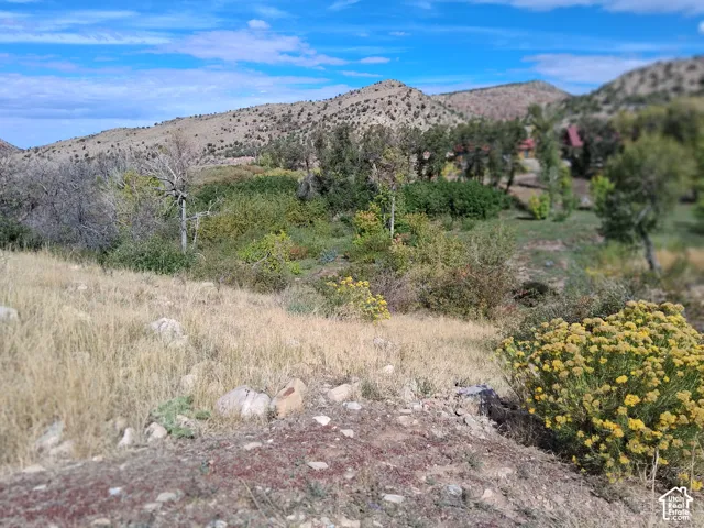 Expansive topography featuring rolling hills, mature trees, native vegetation, and a prominent mountain backdrop