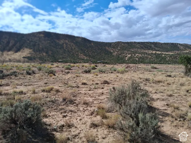Expansive acreage featuring high-desert terrain with native shrubbery and a mountainous backdrop
